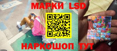 стаф Новокубанск