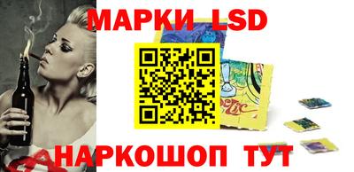 стаф Новокубанск