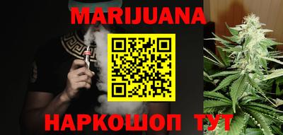 гидра Новозыбков