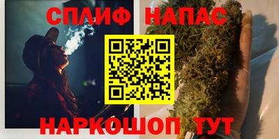 ECSTASY Новодвинск