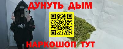 стаф Новокубанск