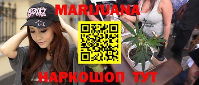 гидра Новозыбков