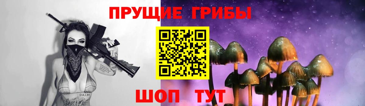Галлюциногенные грибы GOLDEN TEACHER  Псилоцибиновые грибы MAGIC MUSHROOMS  где купить наркоту  Вход с VPN  Старая Купавна 